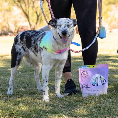 Show full view: Bundle x Joy Ride & Vibe Salmon Grain-Free Superfood Bars Jerky Dog Treats, 16-oz bag slide 6 of 8