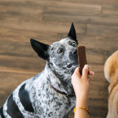 Show full view: Bundle x Joy Leash & Load Beef Grain-Free Superfood Bars Jerky Dog Treats, 16-oz bag slide 7 of 8