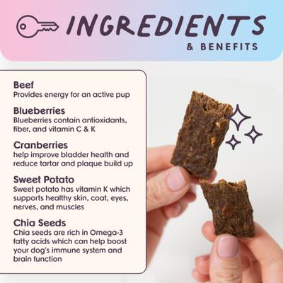 Show full view: Bundle x Joy Leash & Load Beef Grain-Free Superfood Bars Jerky Dog Treats, 16-oz bag slide 4 of 8