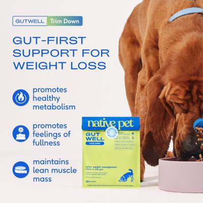Show full view: Native Pet GutWell Trim Down Healthy Weight Management & Metabolic Support Supplement for Dogs with Probiotics, 12.7-oz bag slide 4 of 10