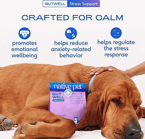 Show full view: Native Pet GutWell Stress Support Anxiety Relief & Calming Supplement for Dogs with Probiotics, 12.7-oz slide 3 of 9