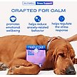 Show in main carousel: Native Pet GutWell Stress Support Anxiety Relief & Calming Supplement for Dogs with Probiotics, 12.7-oz slide 3 of 9