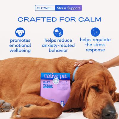Show full view: Native Pet GutWell Stress Support Anxiety Relief & Calming Supplement for Dogs with Probiotics, 12.7-oz bag slide 4 of 10