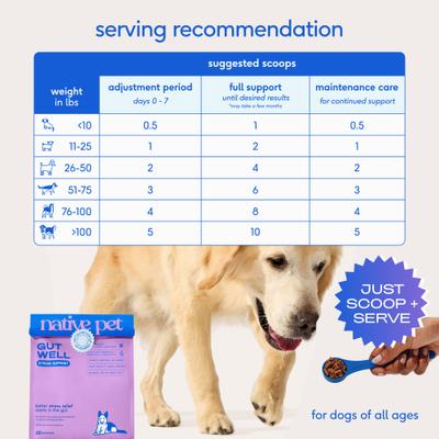 Show full view: Native Pet GutWell Stress Support Anxiety Relief & Calming Supplement for Dogs with Probiotics, 12.7-oz bag slide 7 of 10