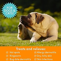 Nootie Medicated Dog & Cat Antibacterial Spray, 8-fl oz bottle slide 2 of 6