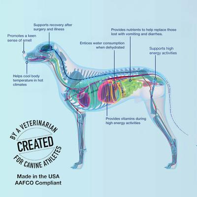 Show full view: Replenish Recovery All-Natural Dog Powder Supplement, 10 count slide 10 of 12