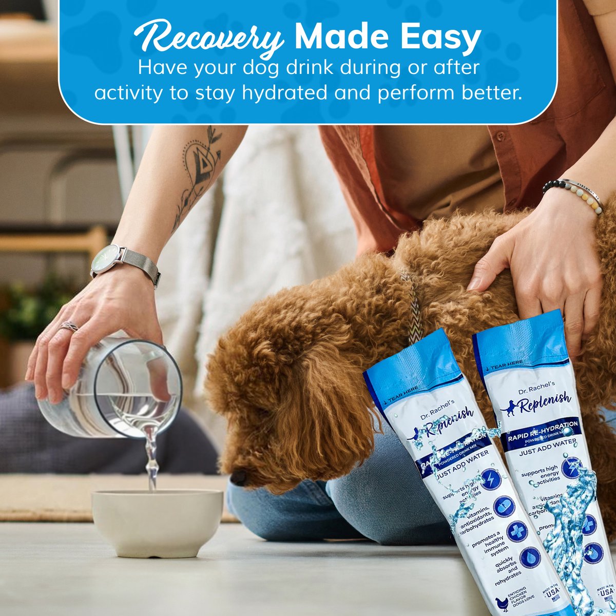 Replenish Recovery All-Natural Dog Powder Supplement