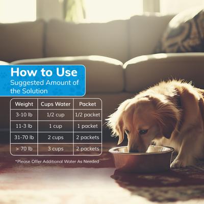 Show full view: Replenish Recovery All-Natural Dog Powder Supplement, 10 count slide 6 of 12