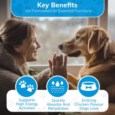 Show full view: Replenish Recovery All-Natural Dog Powder Supplement, 10 count slide 4 of 12