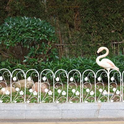 Show full view: BingoPaw 5 Panel Decorative Metal Garden Dog Fence, White slide 6 of 10