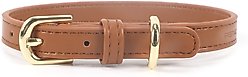 Pistachio Brands Vegan Faux Leather Dog Collar, Cognac, Medium