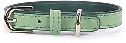 Pistachio Brands Vegan Faux Leather Dog Collar, Bali, Small slide 1 of 2