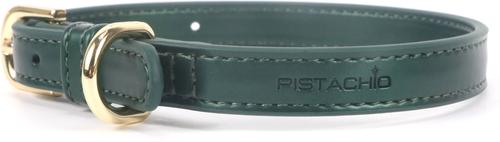 Show full view: Pistachio Brands Vegan Faux Leather Dog Collar, Hunter, Medium slide 2 of 2