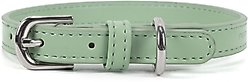 Pistachio Brands Vegan Faux Leather Dog Collar, Pistachio, X-Small