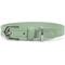 Show in main carousel: Pistachio Brands Vegan Faux Leather Dog Collar, Pistachio, X-Small slide 1 of 1