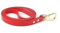 Pistachio Brands Vegan Faux Leather Dog Leash, Cherry