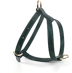 Pistachio Brands Vegan Faux Leather Dog Harness, Hunter, Medium