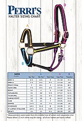 Perri's Leather Stainless Steel Hardware 1-in Show Horse Halter, Black, Cob slide 2 of 2