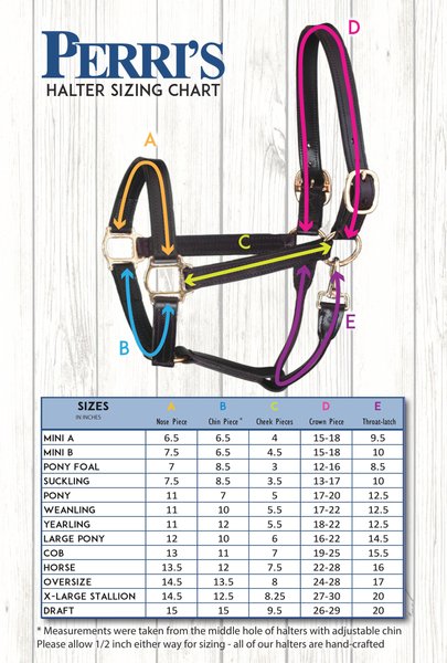 Perri's Leather Turnout Horse Halter