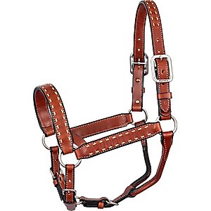 Perri's Leather Buckstitch Leather Horse Halter, Chestnut/White, Horse