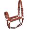 Show in main carousel: Perri's Leather Buckstitch Leather Horse Halter, Chestnut/White, Horse slide 1 of 5