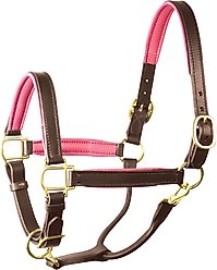 Perri's Leather 1-in Padded Horse Halter, Havana/Pink, Cob
