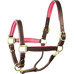 Perri's Leather 1-in Padded Horse Halter, Havana/Pink, Cob