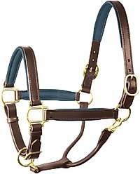 Perri's Leather 1-in Padded Horse Halter, Havana/Navy, Horse
