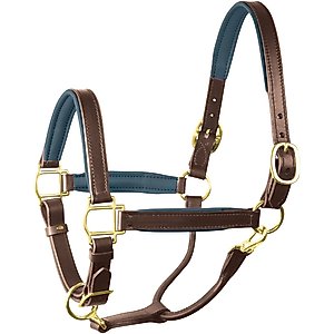 Perri's Leather 1-in Padded Horse Halter, Havana/Navy, Cob