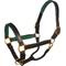 Show in main carousel: Perri's Leather 1-in Padded Horse Halter, Havana/Hunter Green, Horse slide 1 of 2