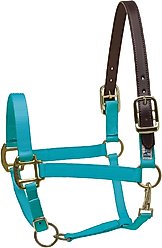 Perri's Leather Safety Horse Halter, Turquoise, Mini B