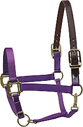 Perri's Leather Safety Horse Halter, Purple, Pony