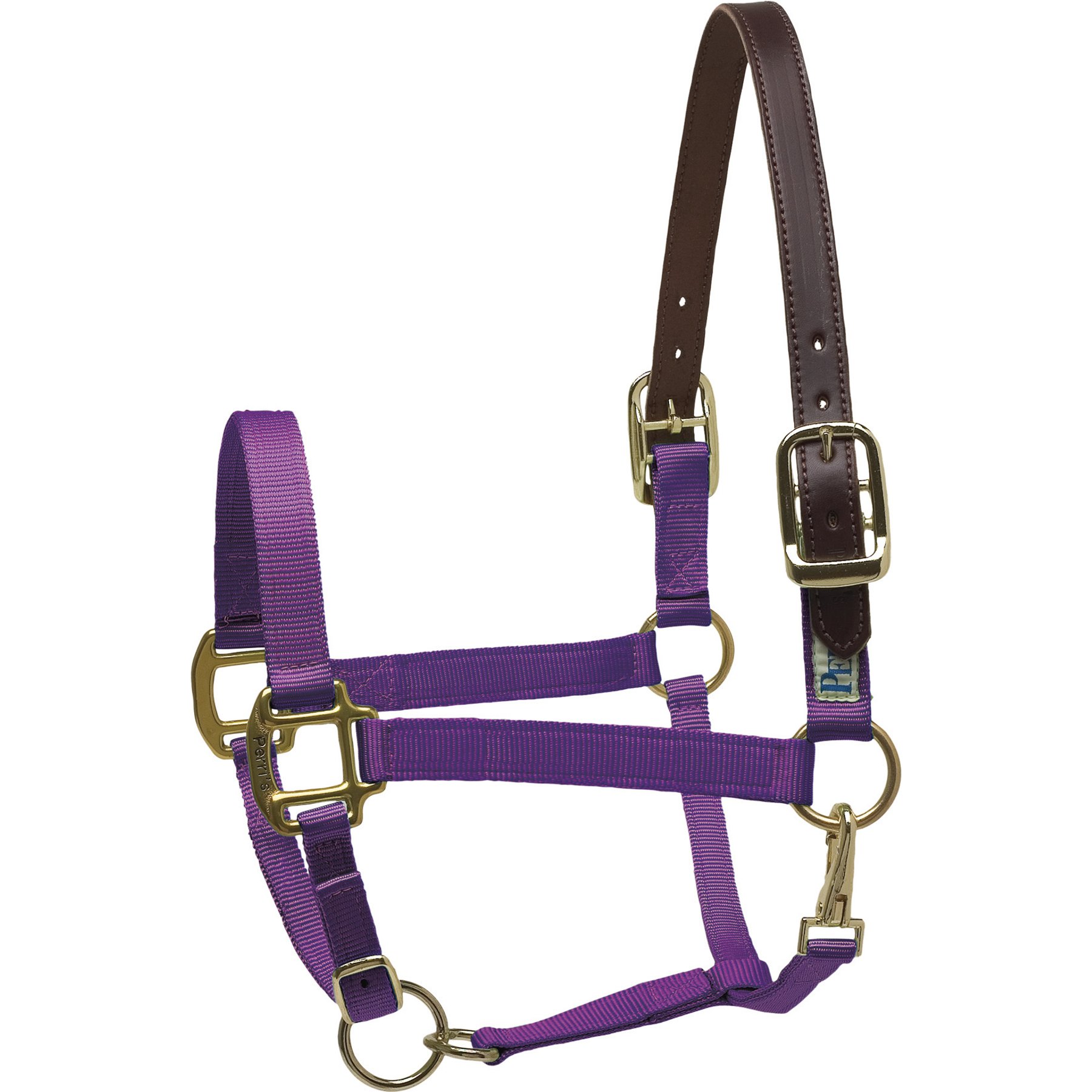 Perri's Leather Safety Horse Halter, Purple, Horse
