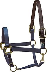 Perri's Leather Safety Horse Halter, Navy, Oversize