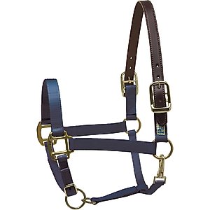 Perri's Leather Safety Horse Halter, Navy, Oversize