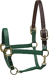 Perri's Leather Safety Horse Halter, Hunter Green, Horse
