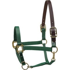 Perri's Leather Safety Horse Halter, Hunter Green, Horse
