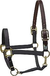 Perri's Leather Safety Horse Halter, Black, Horse