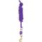 Show in main carousel: Perri's Leather Nylon with Snap Horse Lead, 8-ft, Purple slide 1 of 1