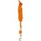 Show in main carousel: Perri's Leather Nylon with Snap Horse Lead, 8-ft, Orange slide 1 of 1