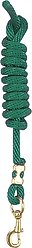 Perri's Leather Nylon with Snap Horse Lead, 8-ft, Hunter Green