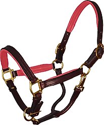 Perri's Leather Padded Horse Halter, Pony, Havana/Pink