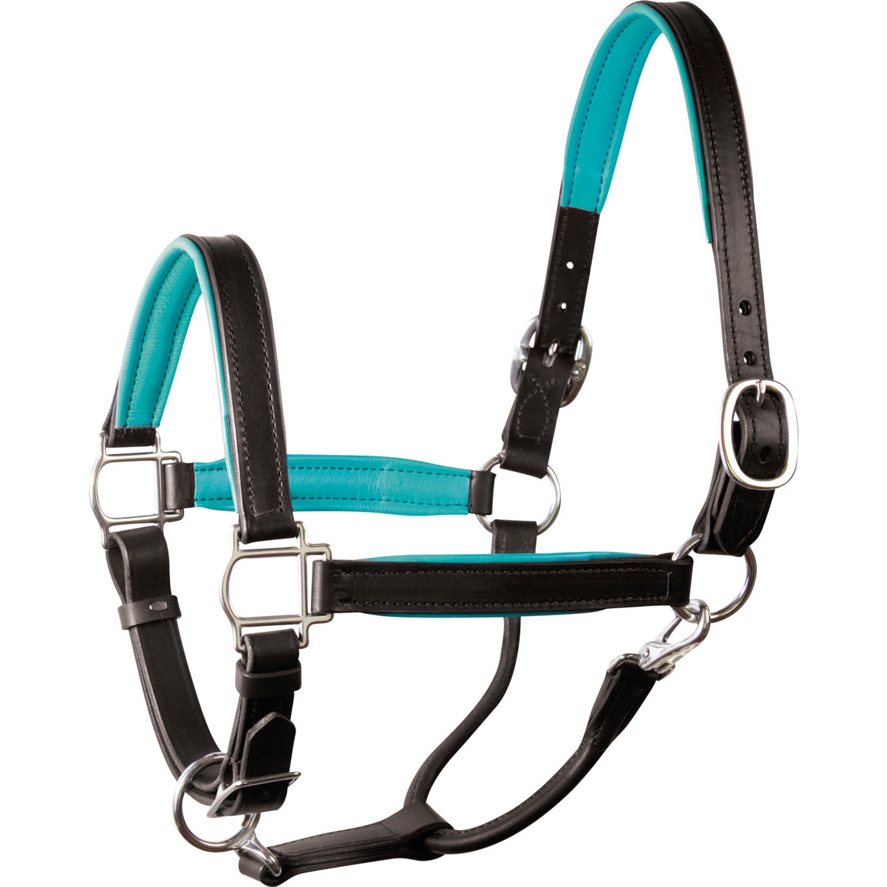 Perri's Leather Padded Horse Halter, Pony, Black/Turquoise
