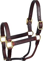 Perri's Leather Heavyweight No Snap Track Horse Halter, Havana, Horse