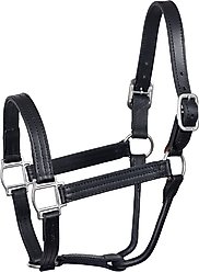 Perri's Leather Heavyweight No Snap Track Horse Halter, Black, Yearling