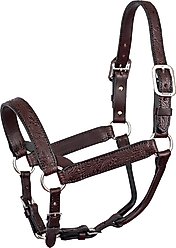 Perri's Leather Floral Embossed Leather Horse Halter, Havana, Cob