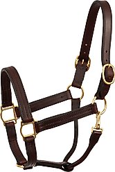 Perri's Leather Heavyweight Snap Track Horse Halter, Havana, Horse