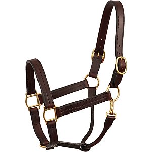 Perri's Leather Heavyweight Snap Track Horse Halter, Havana, Horse