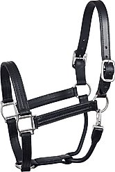 Perri's Leather Heavyweight Snap Track Horse Halter, Black, Yearling