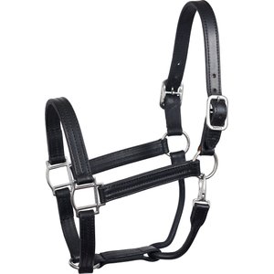 Perri's Leather Heavyweight Snap Track Horse Halter, Black, Yearling